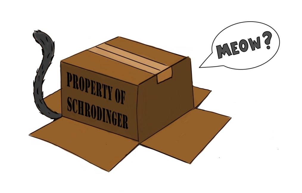 Cartoon Schrodinger's cat in box